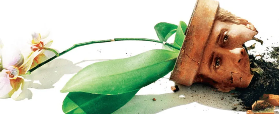 Poster art for the film Adaptation: a cracked flowerpot shaped like a man's head lying beside an orchid.