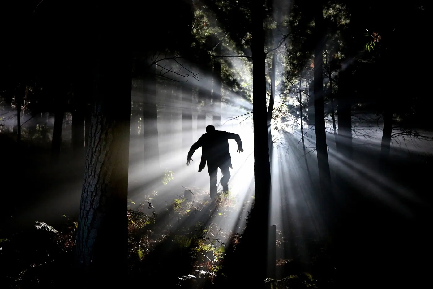 A hunched, monstrous silhouette moving through a misty forest, sunlight streaming through the trees.