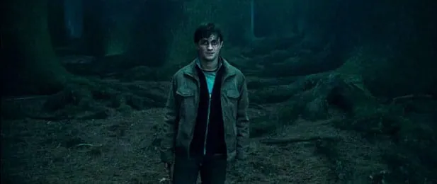 Harry Potter walking through a dark forest toward Voldemort.