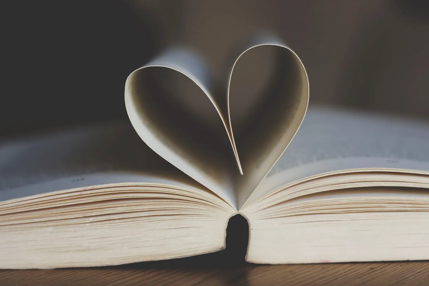 A shelf of well-worn books stacked and leaning together.
