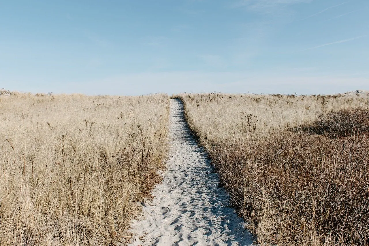 A sandy footpath cutting through tall golden prairie grass toward the horizon.