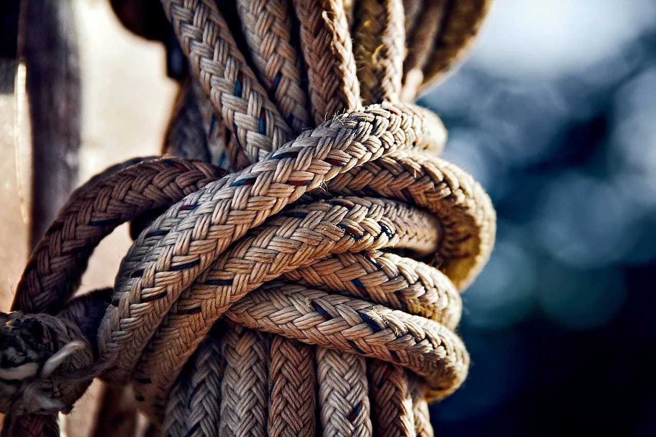 A thick length of rope, tightly coiled and knotted.