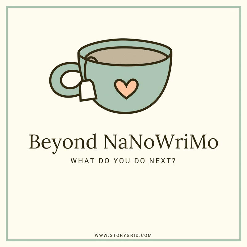 Beyond Nanowrimo: What do you do next?