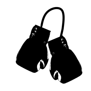 Boxing Globes
